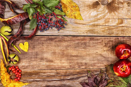 Frame of autumn leaves and berries on old wood backgroundの写真素材