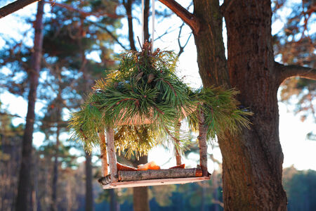 handmade bird feeder in winter, close up