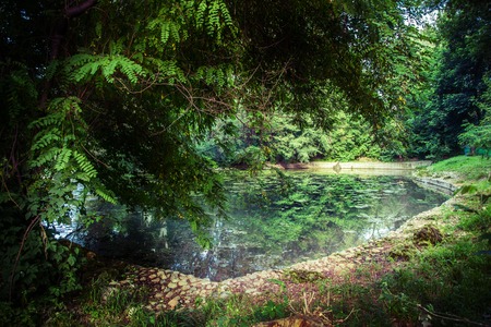 Landscape with pond and treesの写真素材