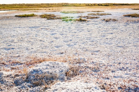 Steppe saline soils of Kazakhstanの写真素材