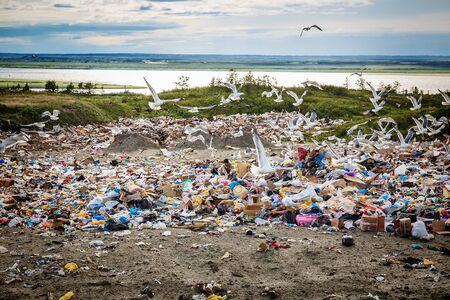 Dudinka, Russia - Jule 9,2013: seagulls flies over huge piles of garbageのeditorial素材