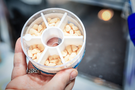 Set of artificial teeth for prosthetics in boxの写真素材