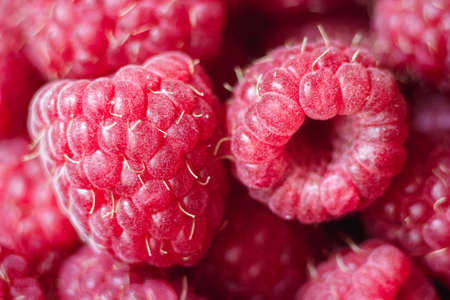 raspberries macro backgroundの写真素材