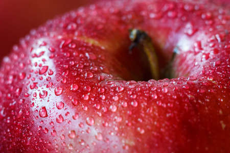 Macro of fresh red wet apple with water drops. Selective focus effectの写真素材