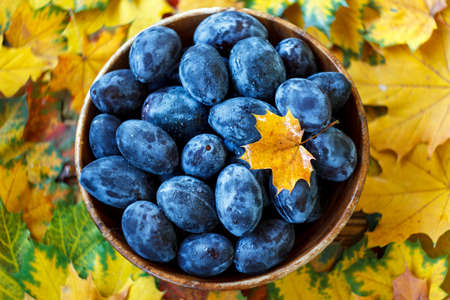 Plums in a bowl on leaves backgroundの写真素材