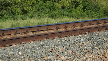 Railway rails and gravel in wood    