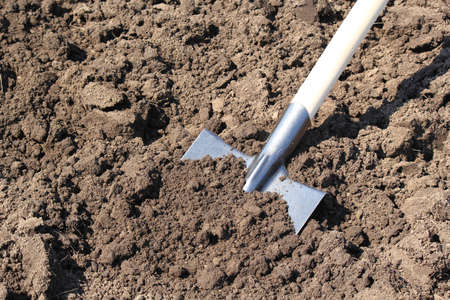 Shovel on the ploughed gardenの写真素材