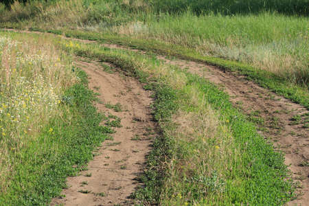 Dirt road in the grass in the bright sunny dayの写真素材