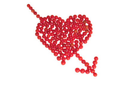Heart with arrow pictured by berries of viburnum. Isolated on a white background.