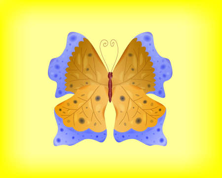 Vector abstract butterfly. Vector illustration. EPS-10. Transparency and gradient mesh used.のイラスト素材