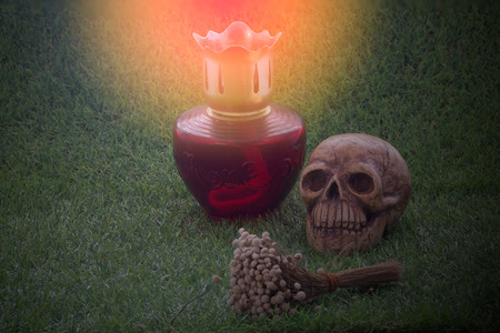 Still life of human skull and dry flower and lamp on green grass sign of deathの写真素材