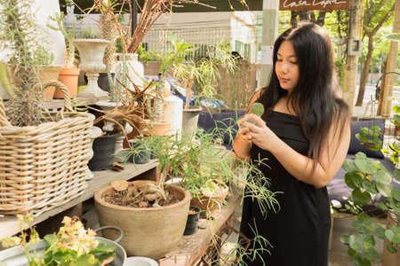 Woman in black dress standing in cactus garden fun of trees and flowers an day time with happy face looking down on her cactus/Woman in cactus gardenの写真素材