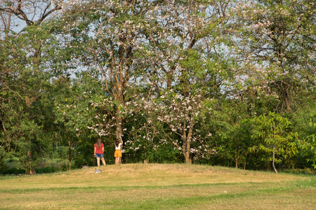 woman with sakura woman in park sakura in park best friend under sakura in green park in relax dayの写真素材