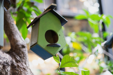 wooden birdhouse in green yellow and white hang on tree surrounded green tree plant in the garden or...