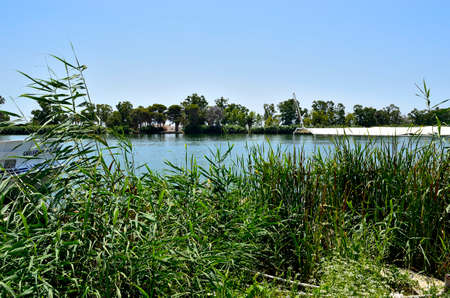 Mouth of the Ebroの写真素材