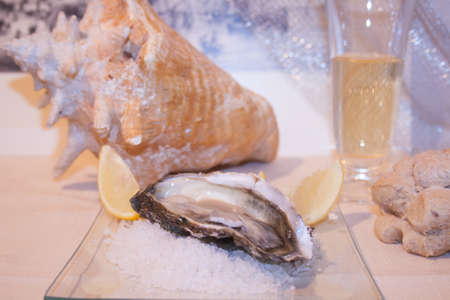 oyster with lemon slice garnish side view from above left close-up on glass dish, italian starter