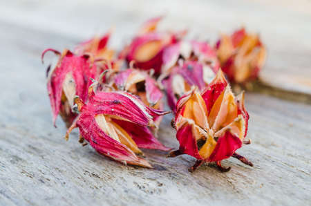 The depth-of-field of a roselle dry on a wooden table.の写真素材