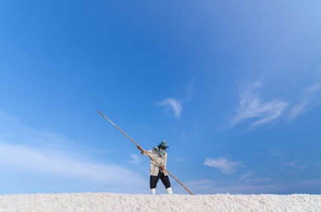 Worker is harvesting sea salt at salt field in Samut Songkhram province, Thailand.のeditorial素材