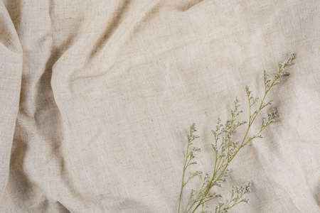 Dry flowers on brown fabric background for media work. Suitable for use in all types of media.の写真素材