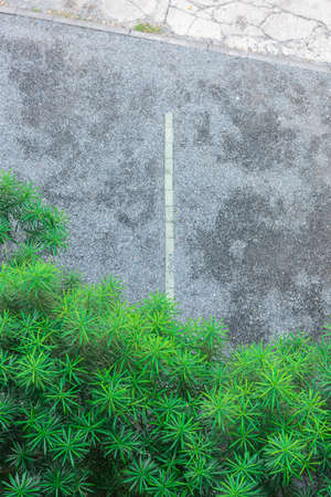 Top view of parking area with garden.の写真素材