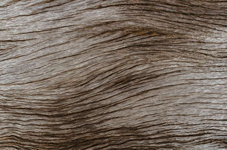 The old wood has a beautiful texture. Suitable for use as background.の写真素材