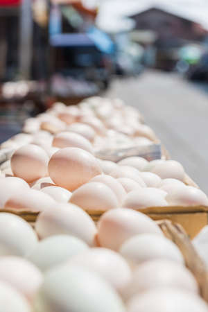 Duck egg for sale at morning market in Thailand. Selective Focus.の写真素材