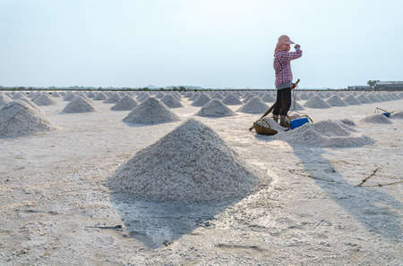 Worker standing at salt field that has pile of sea salt in Samut Songkhram province, Thailand..の写真素材