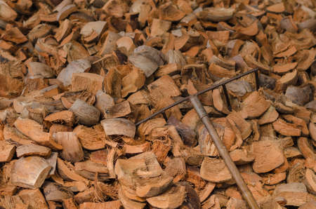 Harrow on the coconut residue heap. Selective Focus. Suitable for use as wallpapers.の写真素材