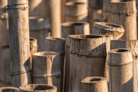 Abstract Background, a lot of bamboos. Selective Focus. Suitable for use as wallpapers.の写真素材