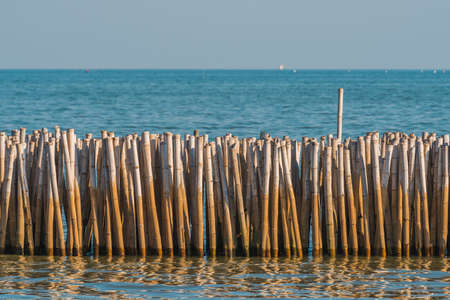 Bamboo barrier for protect from erosion , in  Gulf of Thailand. Selective Focus. Nature Background. Suitable for use as wallpapers.の写真素材