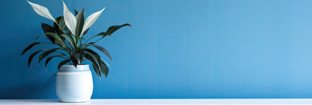 Flowers in a vase on a blue wall background. Banner.の素材