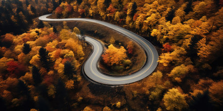 Aerial view of a winding road in the autumn forest. 3d renderingの素材
