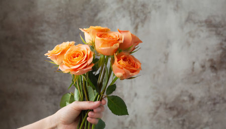 Bouquet of orange roses in female hand on gray background.の素材