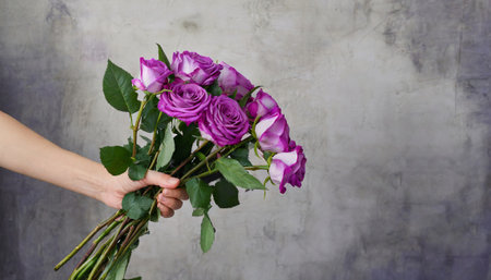 Female hand holding a bouquet of purple roses on a gray backgroundの素材