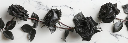 top view of black rosesle surface, panoramic shotの素材