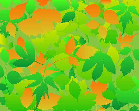 Abstract background leaves vector.のイラスト素材