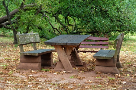 Wooden table and bench in the garden.