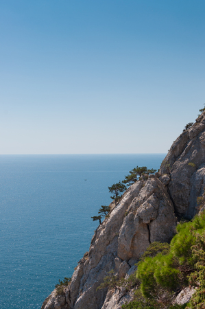 Trees growing on steep and high cliffs. Biological reserve of New World, Black Sea, Crimea.の写真素材