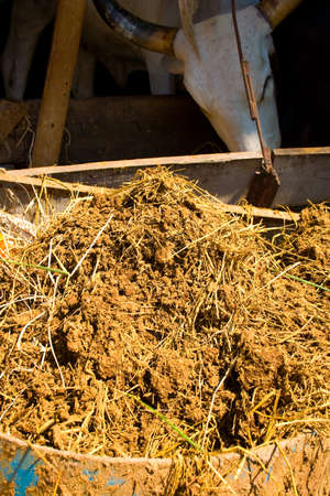 Manure from cattle excrement compost to reduce the cost of cultivation の写真素材