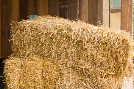 Straw briquette prepared as animal feed.の写真素材