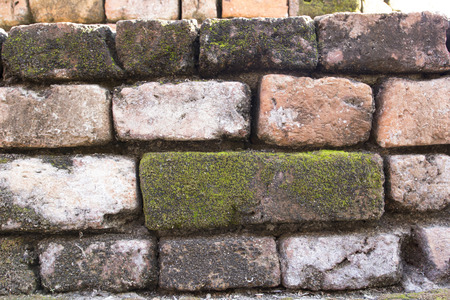 brick wallの写真素材