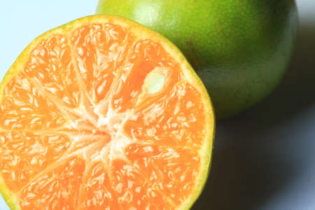 tropical orange close upの写真素材