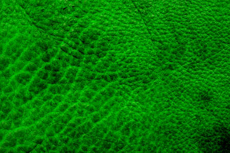 green leather background の写真素材