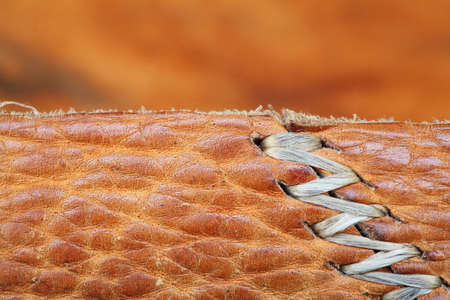 leather with seam full frame photo の写真素材