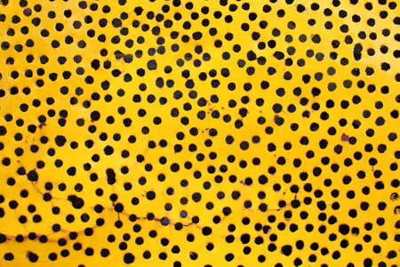 abstract yellow background with holes  の写真素材
