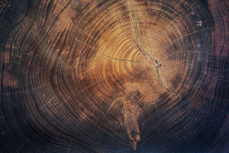 teak wood patternの写真素材