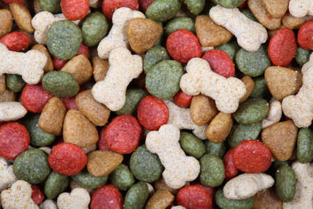 Dog food close up