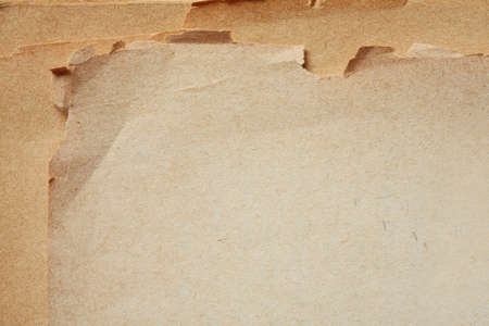 blank page of old book background の写真素材