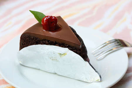 Piece of chocolate cake close up 