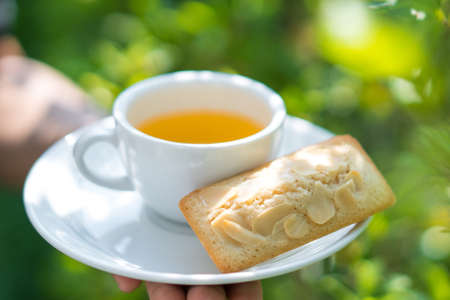 Tea cup with Financier cake.の写真素材